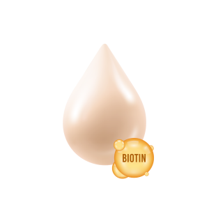 SHAMPOO CRECIMIENTO CON BIOTINA CON TU PROPIA MARCA