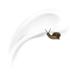 CREMA BABA DE CARACOL | FACIAL, CORPORAL Y MANOS CON TU PROPIA MARCA